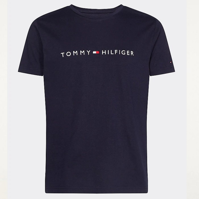 T-Shirt con Logo TOMMY HILFIGER uomo - Blu - immagine 3